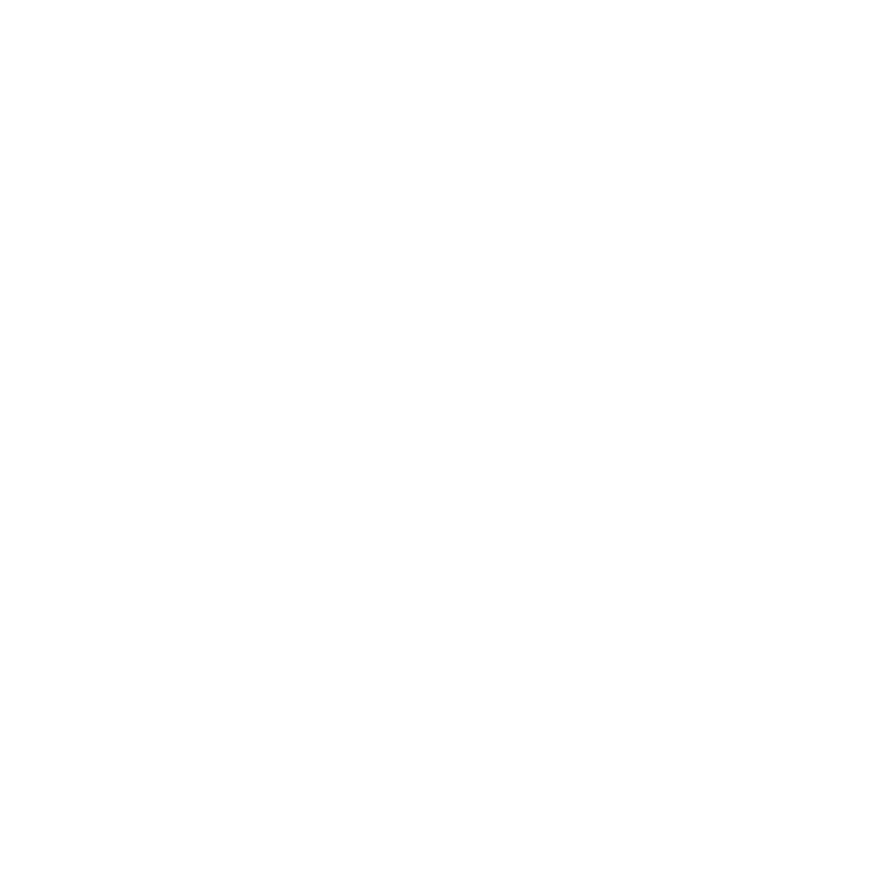 Giorgio Vanti logo